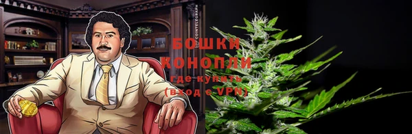 бошки Белокуриха