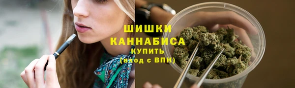 бошки Белокуриха