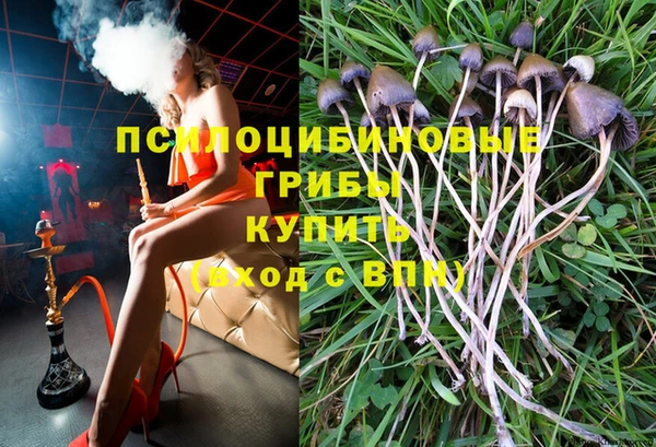 гидропоника Беломорск