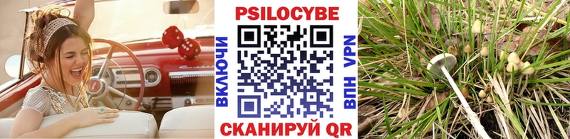 купить   Кыштым  Псилоцибиновые грибы Cubensis 
